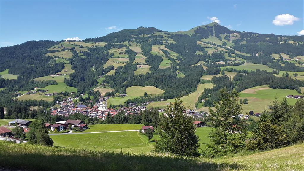 Landhaus Tirol Hopfgarten im Brixental Dış mekan fotoğraf