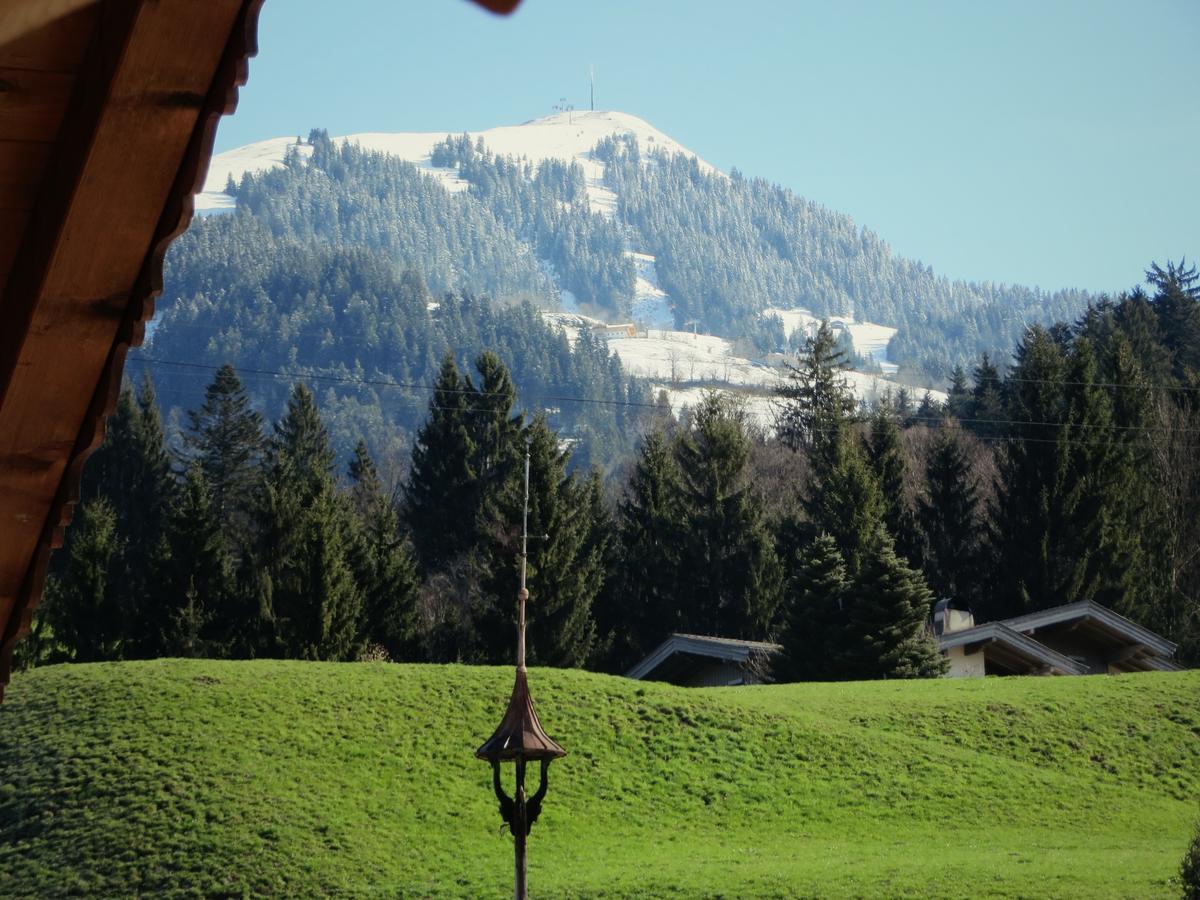 Landhaus Tirol Hopfgarten im Brixental Dış mekan fotoğraf